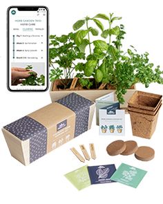 an image of plants in boxes and cards