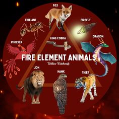 an image of fire element animals in the shape of a triangle on a red background