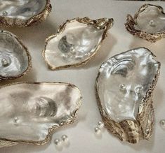 several oysters with pearls on the bottom and one in the middle, all lined up