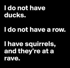 a black and white photo with the words do not have ducks i do not have a row i have squirrels, and they're at a rave