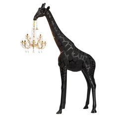 a giraffe standing next to a chandelier on a white background,