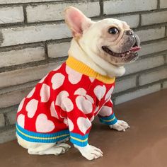 a small dog wearing a red and white polka dot sweater sitting on top of a table