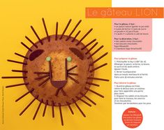 a brochure with an image of a lion's face