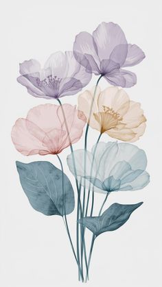 three different colored flowers on a white background