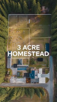 3 Acre Self-Sufficient Homestead with Livestock and Gardens Homestead Garden Layout, Self Sufficient Homestead, Ranch Farmhouse, Garden Ponds, Homestead Gardens, Backyard Fireplace, Improve Indoor Air Quality