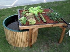 there is a wooden table with plants in it