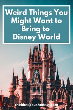 a castle with the words weird things you might want to bring to disney world