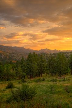 the sun is setting in the distance over trees and hills with mountains in the background