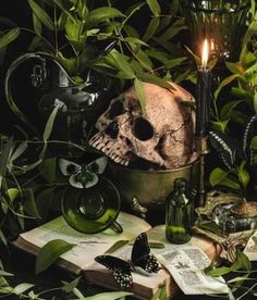 a table topped with lots of green plants and skulls on top of books next to a candle