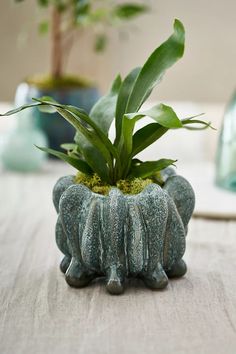 an elephant planter is sitting on a table