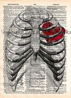 Steampunk clockwork heart, vintage anatomy ribcage, dictionary page book art print -  - 2 Steampunk Clockwork, Vintage Anatomy, Medical Journal, Dictionary Book, Heart Vintage, Dictionary Page, Anatomy Sketches, Vintage Dictionary, Dictionary Art