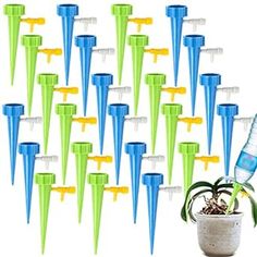 a bunch of blue and green water bottles sitting next to each other on top of a plant