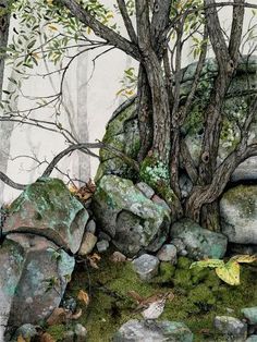 a painting of rocks and trees with moss growing on the ground in front of them