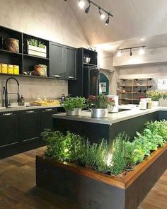 a kitchen filled with lots of green plants on top of a wooden floor next to black cabinets