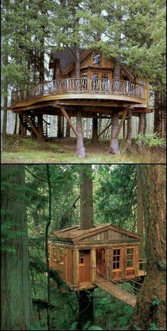 the tree house is built in the woods