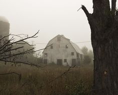 an old barn sits in the middle of a foggy field next to a tree