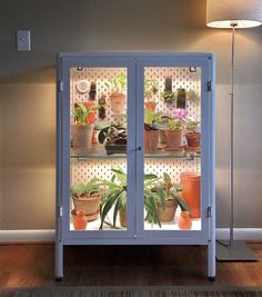 a display case filled with potted plants on top of a hard wood floor next to a lamp