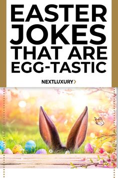 Easter Jokes Funny Easter Jokes, Easter Jokes, Easter Humor, Holiday Celebration, Easter