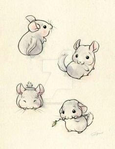 four drawings of mice and one hamster