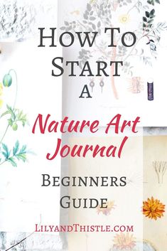 the cover of how to start a nature art journal