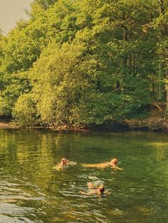 two people swimming in the water near trees