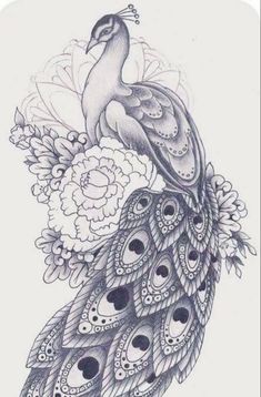 a drawing of a peacock with flowers on it's back and its feathers spread out