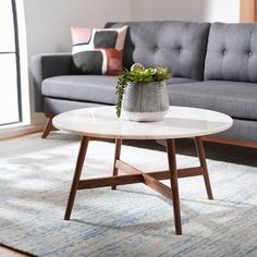 a living room with a couch, coffee table and potted plant on the rug