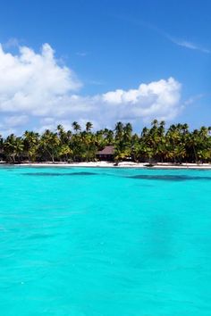 an island with palm trees in the background and clear blue water on the foreground