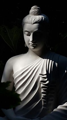 a white buddha statue sitting in the dark