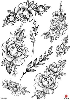 some flowers and leaves are drawn in black ink on white paper with watermarks