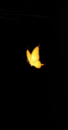 a yellow butterfly flying in the dark