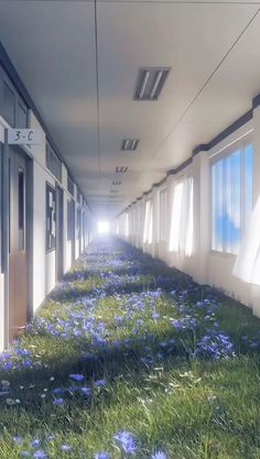 an empty hallway with blue flowers growing on the grass