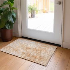 a potted plant sitting on the floor next to a door with an open glass door