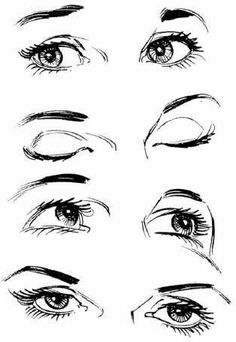 the different types of eyes drawn in pencil