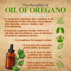 Health Benefits Of Oregano Oil, Oil Of Oregano Benefits How To Use, Oil Of Oregano Benefits, Lung Support, Oil Of Oregano, Oregano Oil Benefits, Oregano Essential Oil, Essential Oils Herbs, Oregano Oil