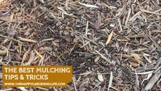 the best mulching tips and tricks