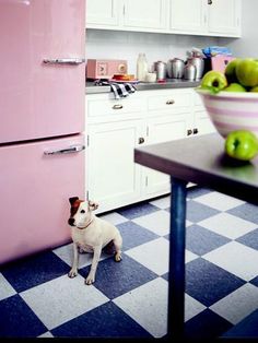 a dog sitting in the kitchen next to a bowl of apples and an old pink refrigerator