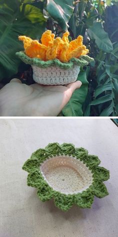 crocheted bowl with flowers in it sitting on a table next to a plant