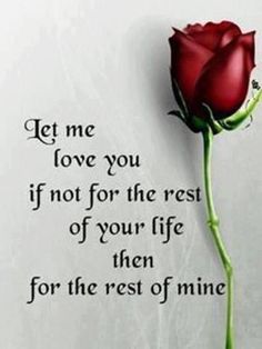 a single red rose with the words let me love you if not for the rest of your life, for the rest of mine