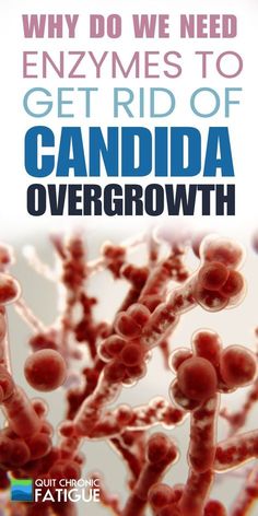 Candida albicans is a tiny organism that naturally lives in your gut, mouth, skin, and other parts of your body. But sometimes, it can cause problems.