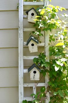 several bird houses are hanging on a ladder