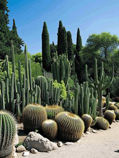 Cactus Landscaping Ideas: Vibrant Golden Barrel Cacti & Tall Columnar Cacti Garden Animal Statues, Golden Barrel Cactus, Vintage Cactus, Barrel Cactus, Garden Animals, Drought Tolerant Plants