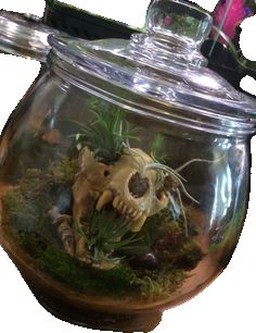 a glass jar filled with plants and animals