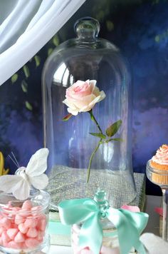 a pink rose under a glass clochel on a table with candy and cupcakes