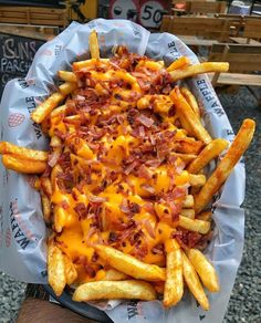 cheese fries with bacon on top in a basket