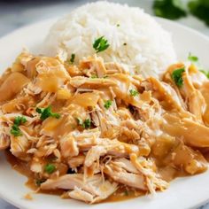 a white plate topped with rice and chicken covered in gravy next to green garnish