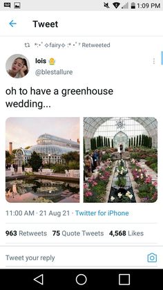 tweet for instagram screenshots on the iphone or ipad, with an image of greenhouse and flowers