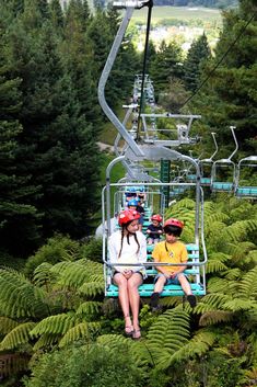 two people sitting on a chair lift in the middle of some trees and ferns with mountains in the background