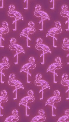 pink flamingos on a purple background