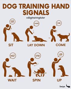 dog training hand signals for dogs to learn how to use the same language as their owner